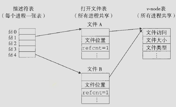 文件共享